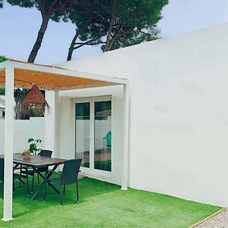 Verano Sancti Petri